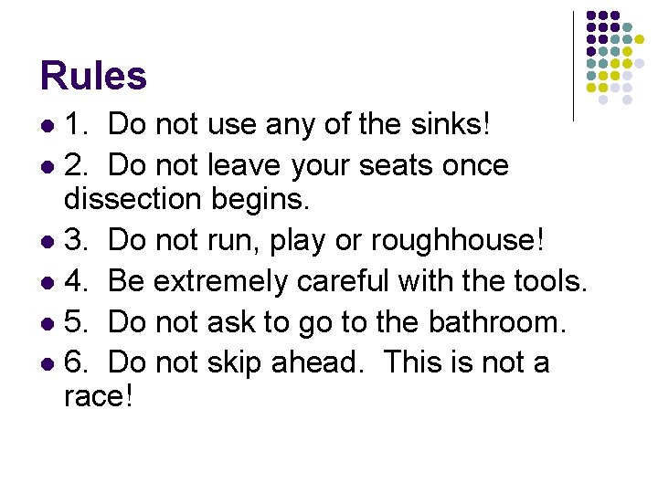 Rules 1. Do not use any of the sinks! l 2. Do not leave