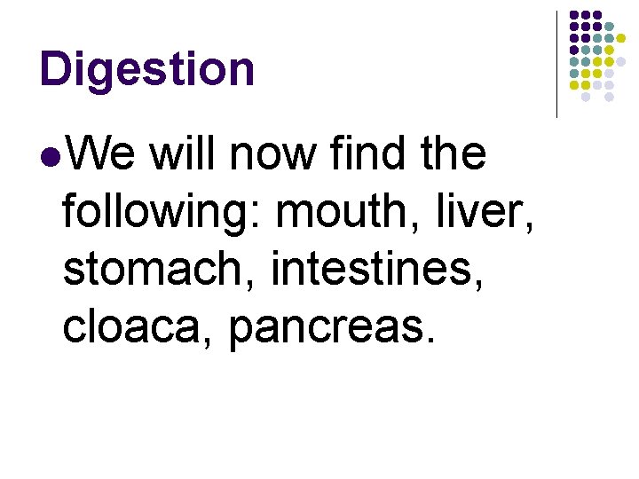 Digestion l. We will now find the following: mouth, liver, stomach, intestines, cloaca, pancreas.
