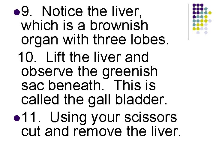 l 9. Notice the liver, which is a brownish organ with three lobes. 10.