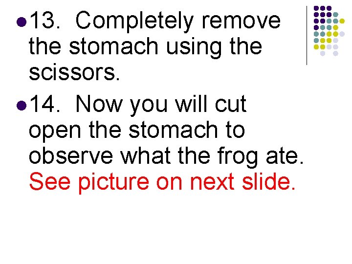 l 13. Completely remove the stomach using the scissors. l 14. Now you will