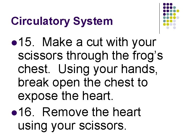 Circulatory System l 15. Make a cut with your scissors through the frog’s chest.
