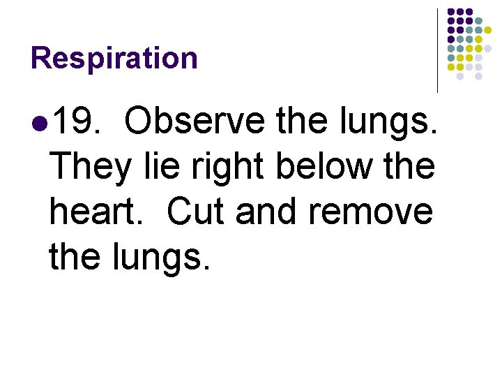 Respiration l 19. Observe the lungs. They lie right below the heart. Cut and