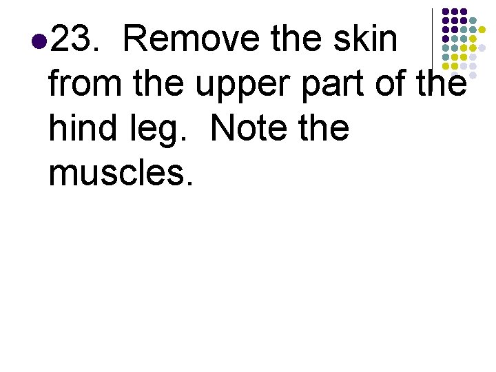 l 23. Remove the skin from the upper part of the hind leg. Note