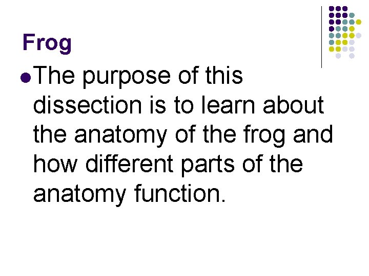 Frog l The purpose of this dissection is to learn about the anatomy of