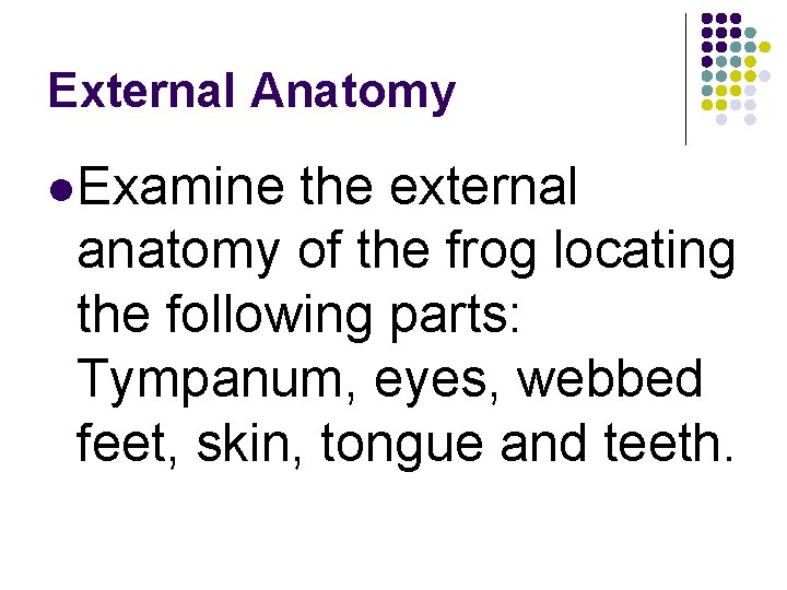 External Anatomy l. Examine the external anatomy of the frog locating the following parts: