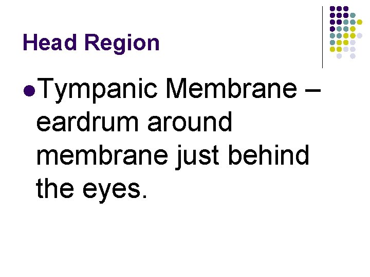 Head Region l. Tympanic Membrane – eardrum around membrane just behind the eyes. 