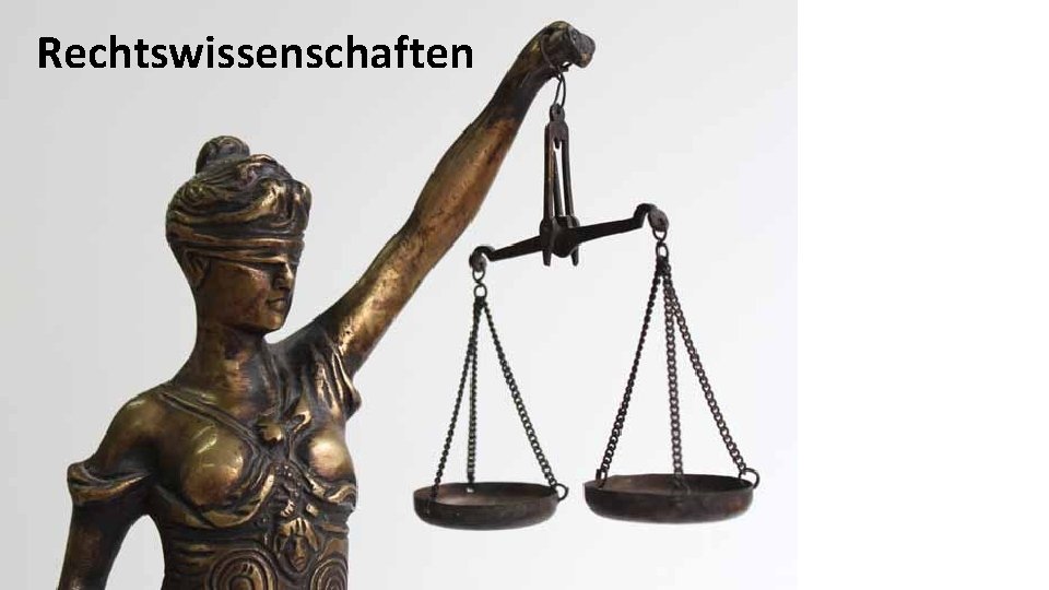 Rechtswissenschaften 