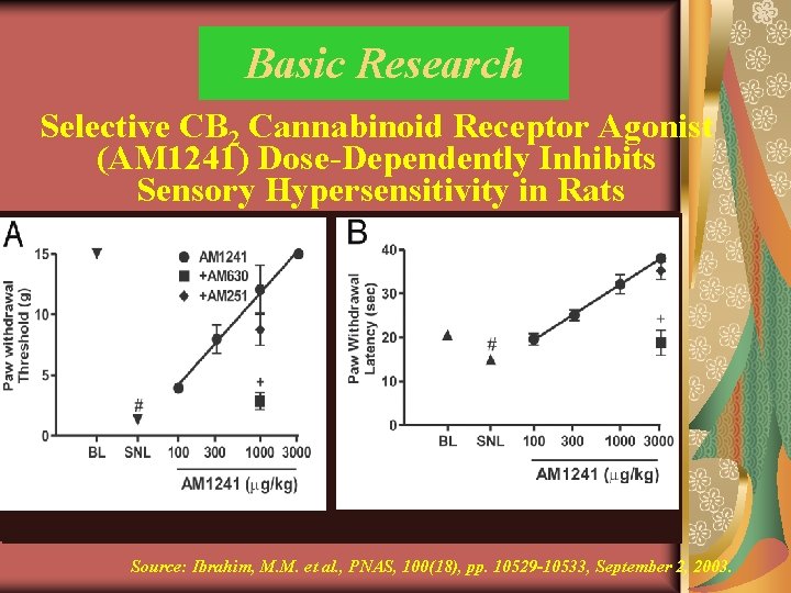 Basic Research Selective CB 2 Cannabinoid Receptor Agonist (AM 1241) Dose-Dependently Inhibits Sensory Hypersensitivity