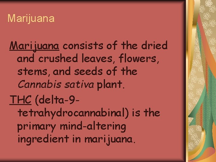 Marijuana consists of the dried and crushed leaves, flowers, stems, and seeds of the