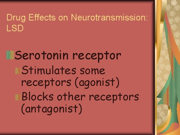 Drug Effects on Neurotransmission: LSD Serotonin receptor Stimulates some receptors (agonist) Blocks other receptors
