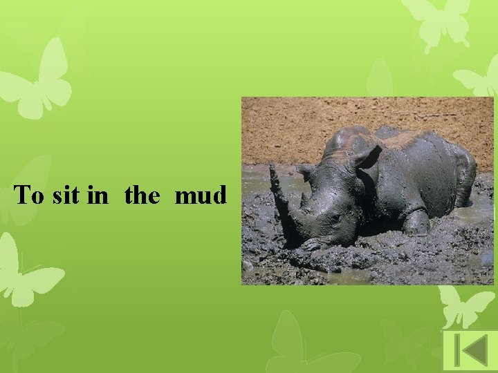 To sit in the mud 