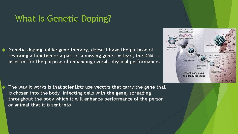 What Is Genetic Doping? Genetic doping unlike gene therapy, doesn’t have the purpose of