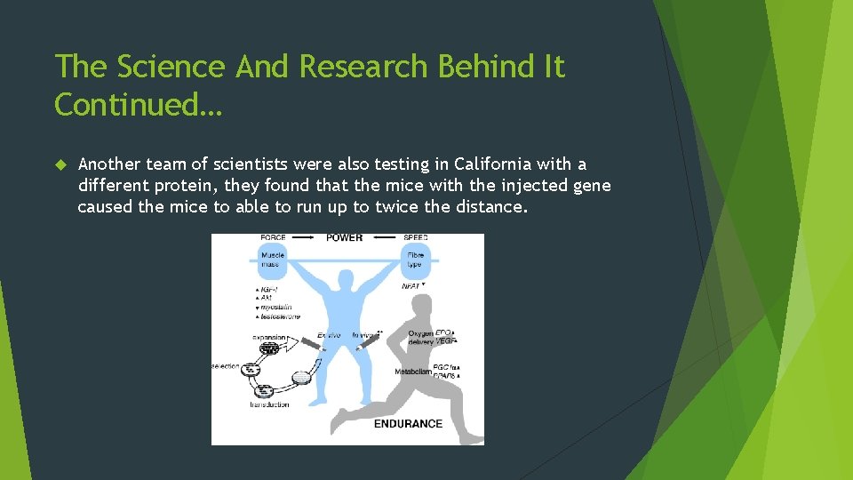 The Science And Research Behind It Continued… Another team of scientists were also testing