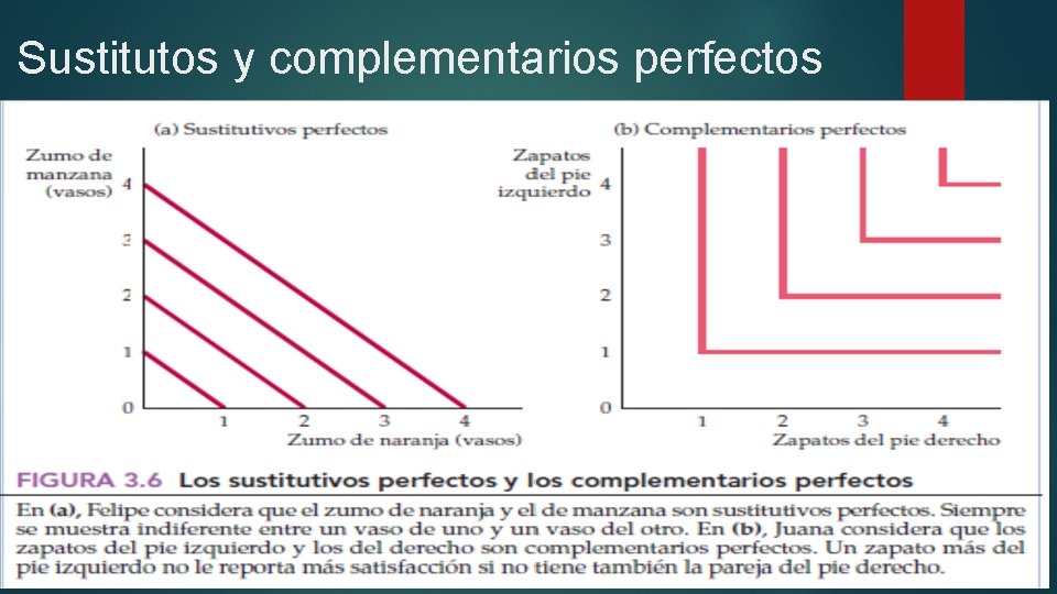 Sustitutos y complementarios perfectos 