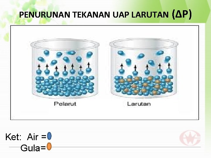 PENURUNAN TEKANAN UAP LARUTAN Ket: Air = Gula= (∆P) 