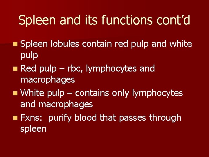 Spleen and its functions cont’d n Spleen lobules contain red pulp and white pulp