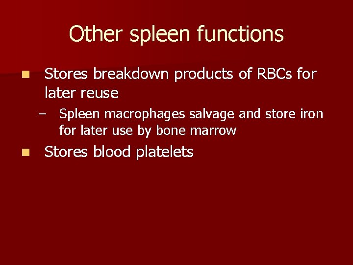 Other spleen functions n Stores breakdown products of RBCs for later reuse – Spleen