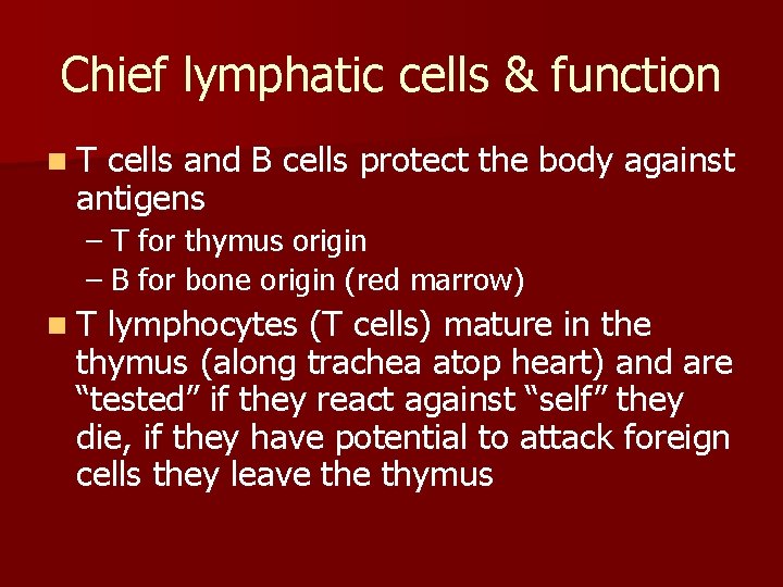 Chief lymphatic cells & function n. T cells and B cells protect the body