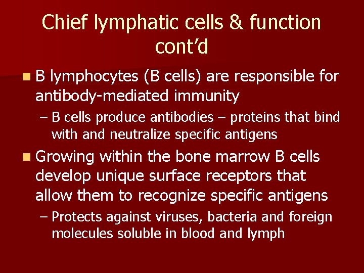 Chief lymphatic cells & function cont’d n. B lymphocytes (B cells) are responsible for