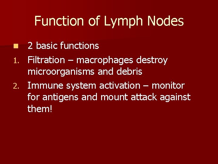 Function of Lymph Nodes n 1. 2. 2 basic functions Filtration – macrophages destroy