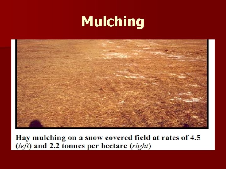 Mulching 
