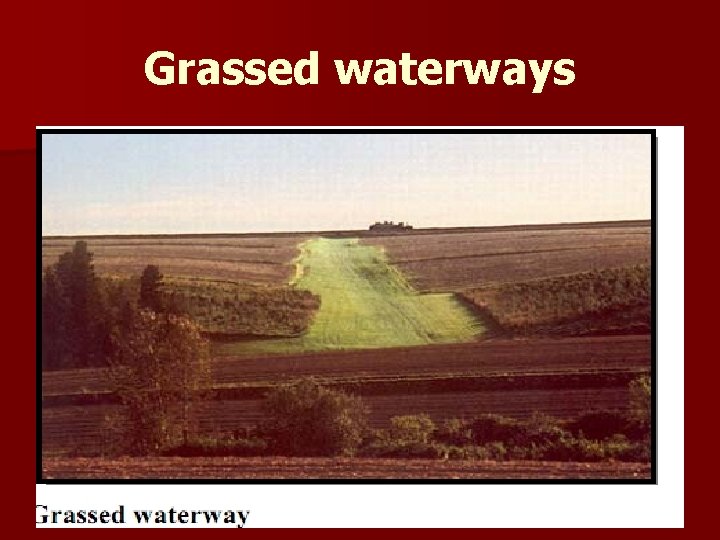 Grassed waterways 