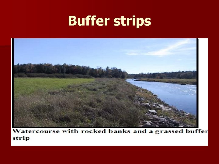 Buffer strips 