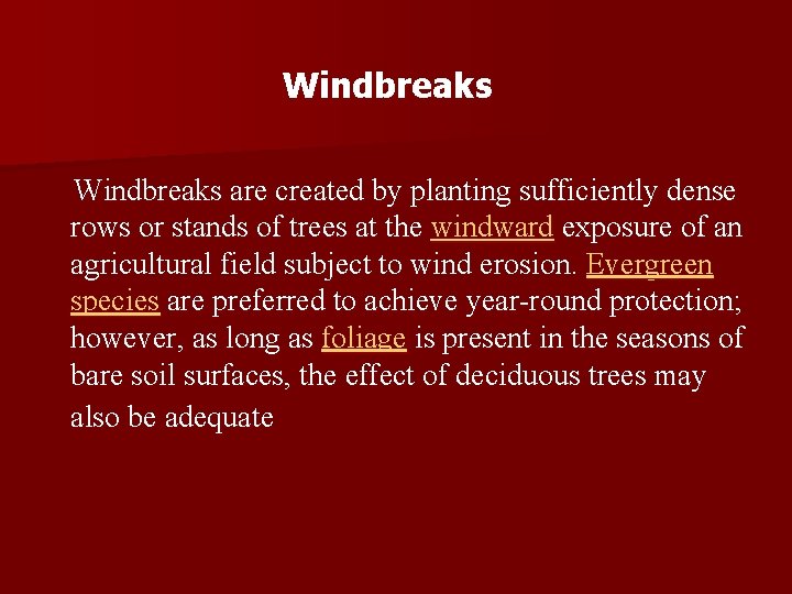 Windbreaks are created by planting sufficiently dense rows or stands of trees at the