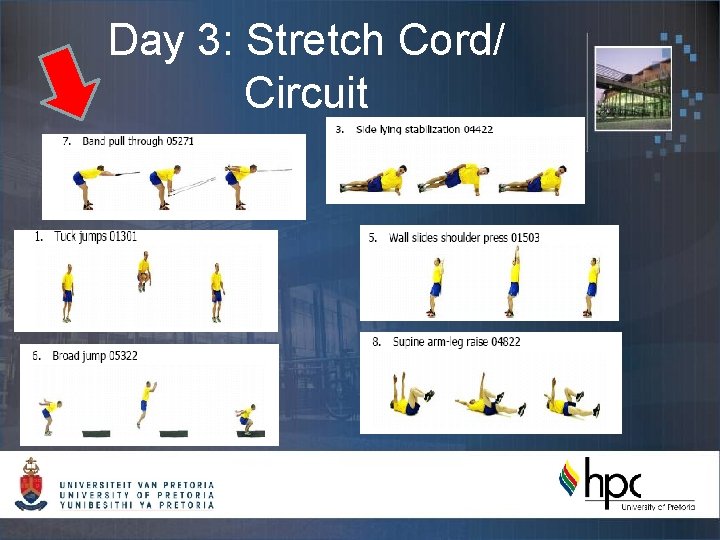 Day 3: Stretch Cord/ Circuit 