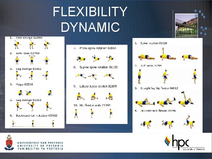 FLEXIBILITY DYNAMIC 