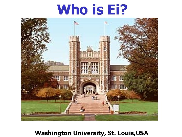 Who is Ei? Washington University, St. Louis, USA 