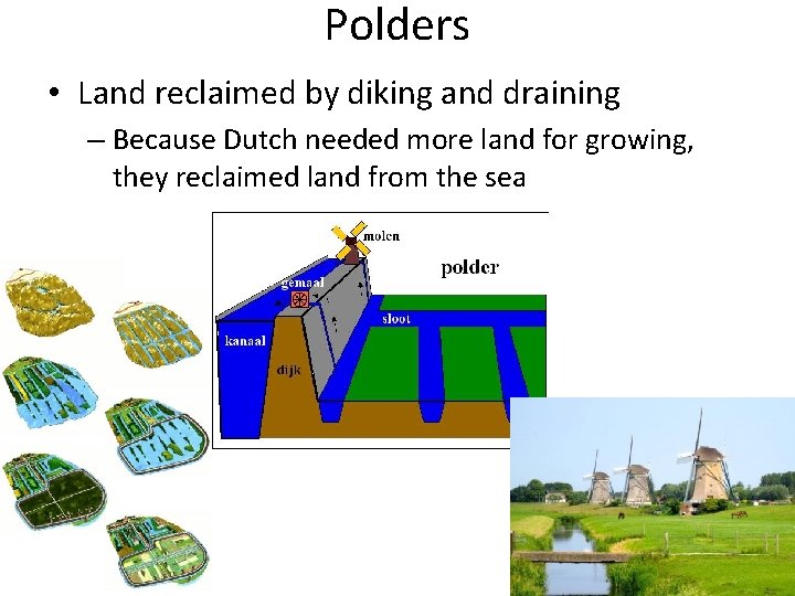 Polders • Land reclaimed by diking and draining – Because Dutch needed more land