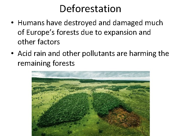 Deforestation • Humans have destroyed and damaged much of Europe’s forests due to expansion