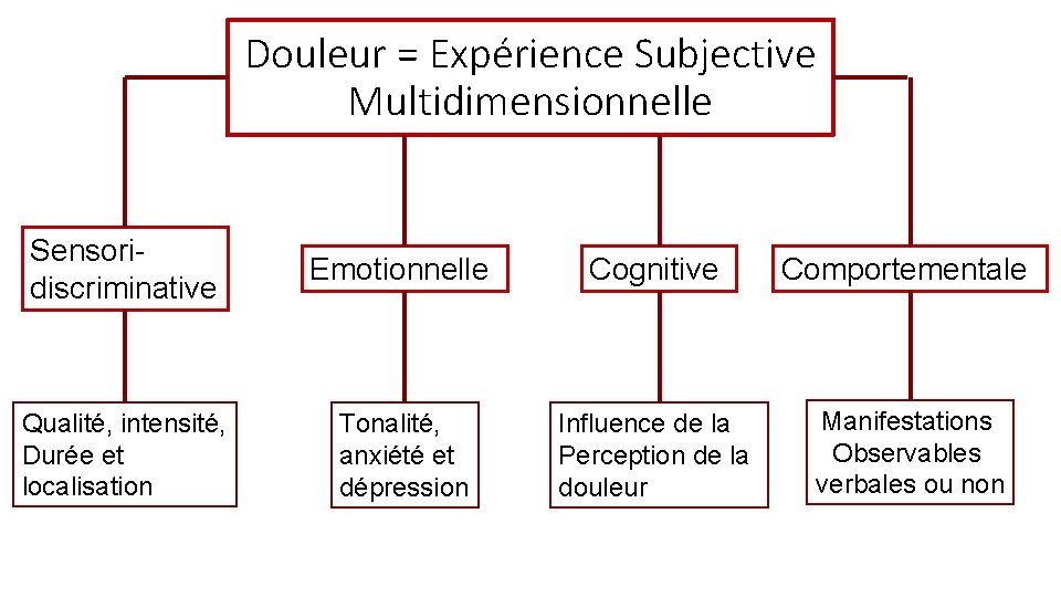 Douleur = Expérience Subjective Multidimensionnelle Sensoridiscriminative Emotionnelle Cognitive Comportementale Qualité, intensité, Durée et localisation