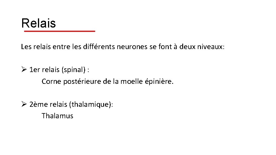 Relais Les relais entre les différents neurones se font à deux niveaux: Ø 1