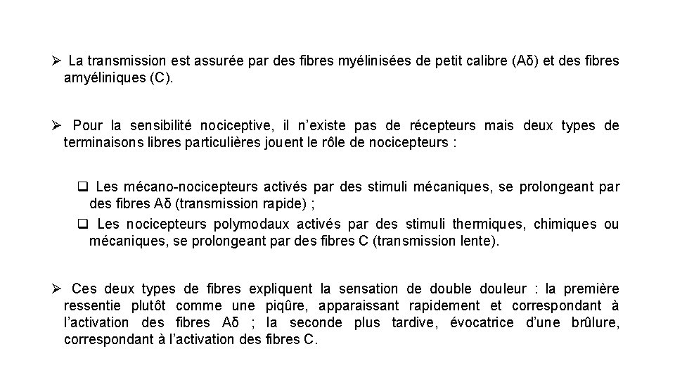 Ø La transmission est assurée par des fibres myélinisées de petit calibre (Aδ) et