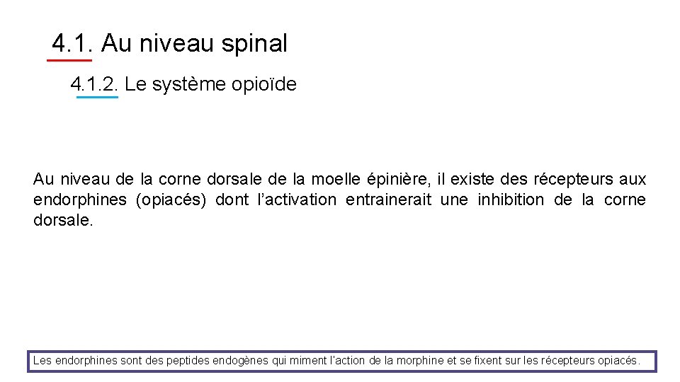 4. 1. Au niveau spinal 4. 1. 2. Le système opioïde Au niveau de