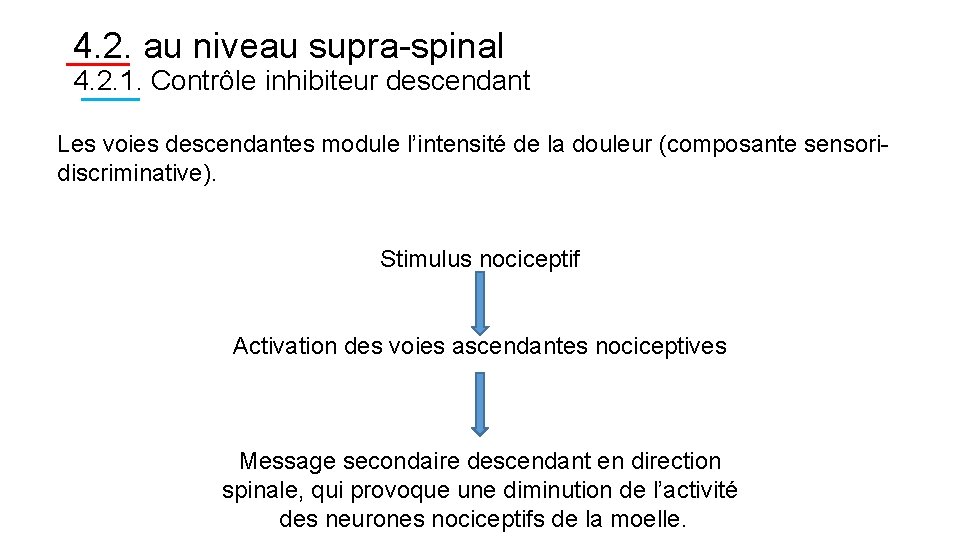 4. 2. au niveau supra-spinal 4. 2. 1. Contrôle inhibiteur descendant Les voies descendantes