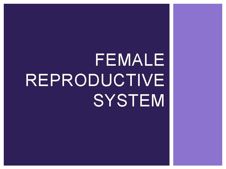 FEMALE REPRODUCTIVE SYSTEM 