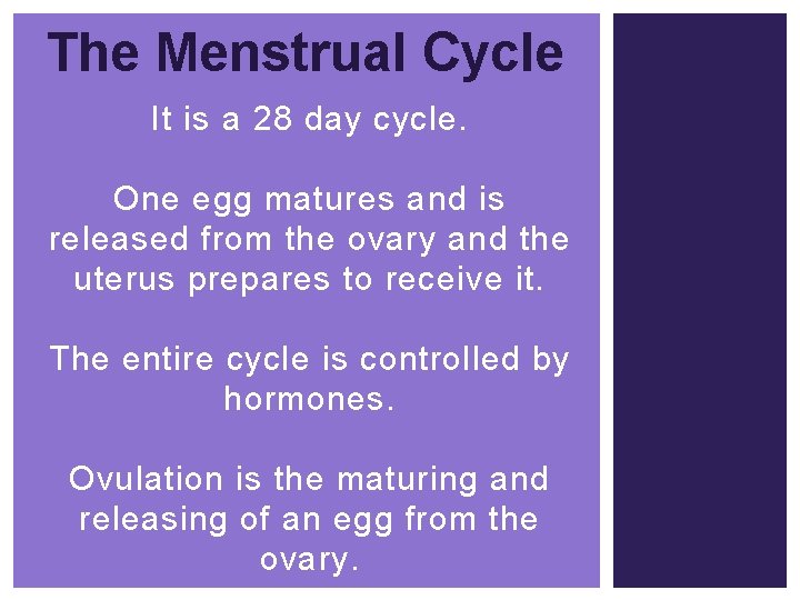The Menstrual Cycle It is a 28 day cycle. One egg matures and is