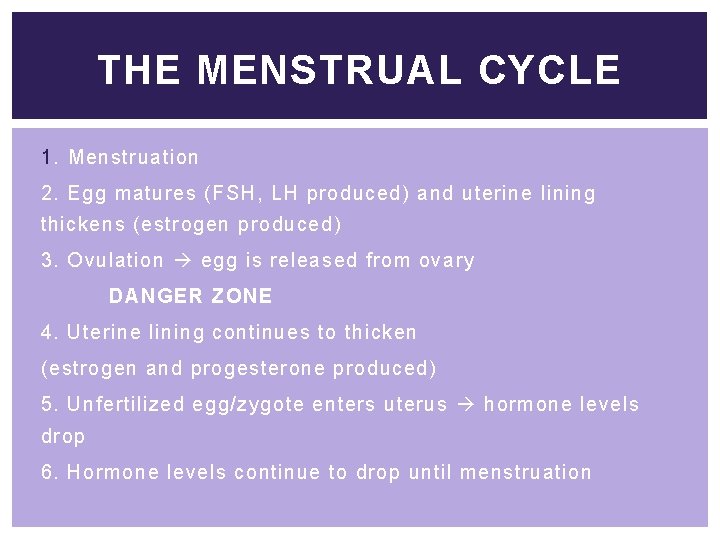 THE MENSTRUAL CYCLE 1. Menstruation 2. Egg matures (FSH, LH produced) and uterine lining