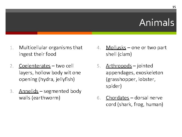 15 Animals 1. Multicellular organisms that ingest their food 4. Mollusks – one or