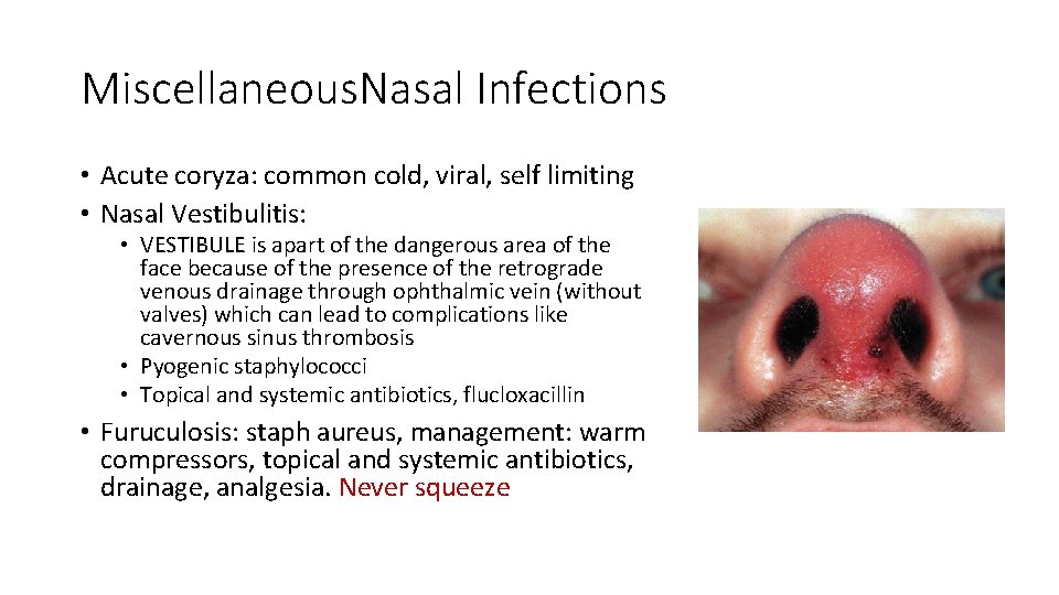 Miscellaneous. Nasal Infections • Acute coryza: common cold, viral, self limiting • Nasal Vestibulitis:
