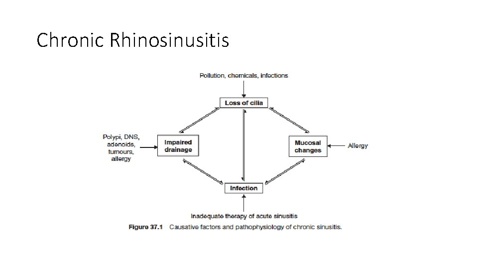 Chronic Rhinosinusitis 