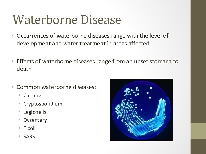 Waterborne Disease • Occurrences of waterborne diseases range with the level of development and Waterborne Disease • Occurrences of waterborne diseases range with the level of development and