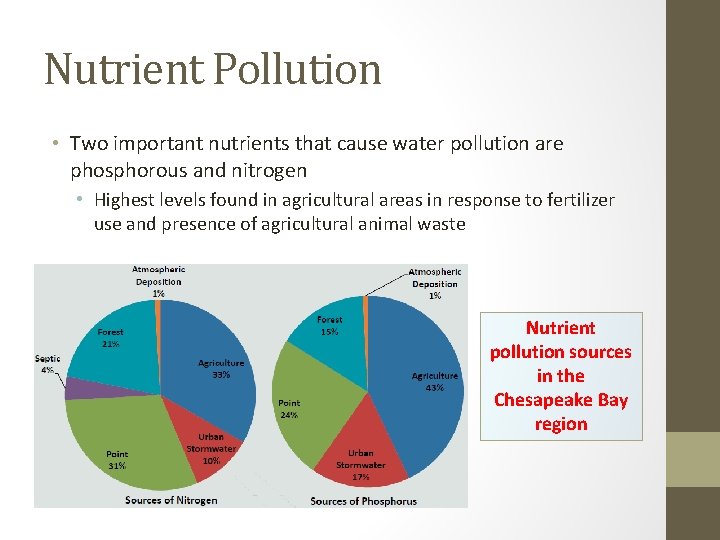 Nutrient Pollution • Two important nutrients that cause water pollution are phosphorous and nitrogen Nutrient Pollution • Two important nutrients that cause water pollution are phosphorous and nitrogen