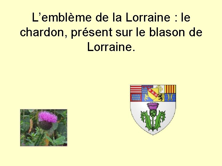 L’emblème de la Lorraine : le chardon, présent sur le blason de Lorraine. 