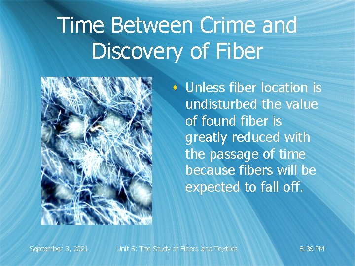 Time Between Crime and Discovery of Fiber s Unless fiber location is undisturbed the