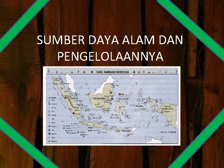 SUMBER DAYA ALAM DAN PENGELOLAANNYA 
