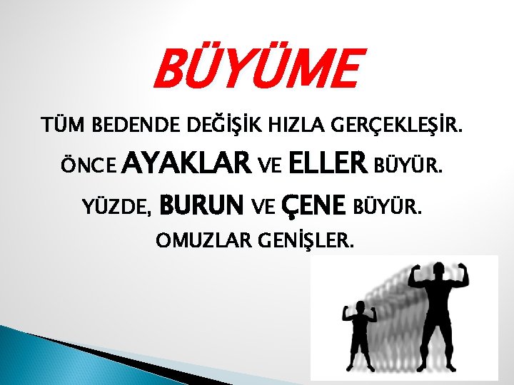 BÜYÜME TÜM BEDENDE DEĞİŞİK HIZLA GERÇEKLEŞİR. ÖNCE AYAKLAR VE ELLER BÜYÜR. YÜZDE, BURUN VE